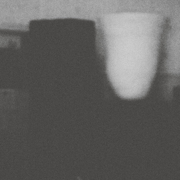 Merzbow | The Misfortune Of Virtue The Prosperity Of Vice | CD