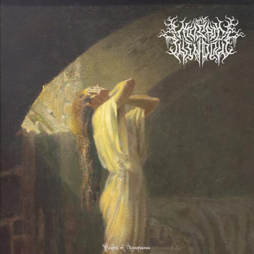 The Mosaic Window - Plight Of Acceptance [Random Color LP] | Vinyl