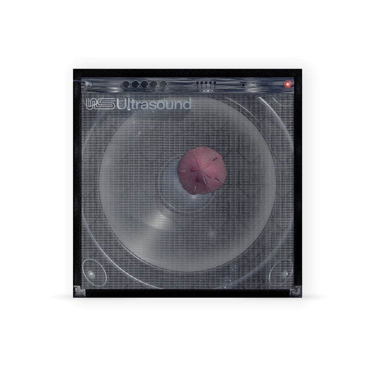 The Neighbourhood | ((((((Ultrasound)))))+ (Indie Exclusive) [Mauve Vinyl] [2LP] | Vinyl