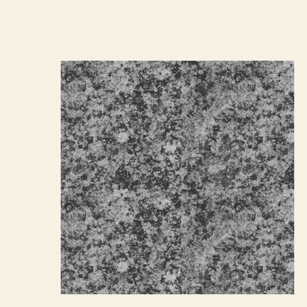 Girls Names - The New Life - 12" | Vinyl