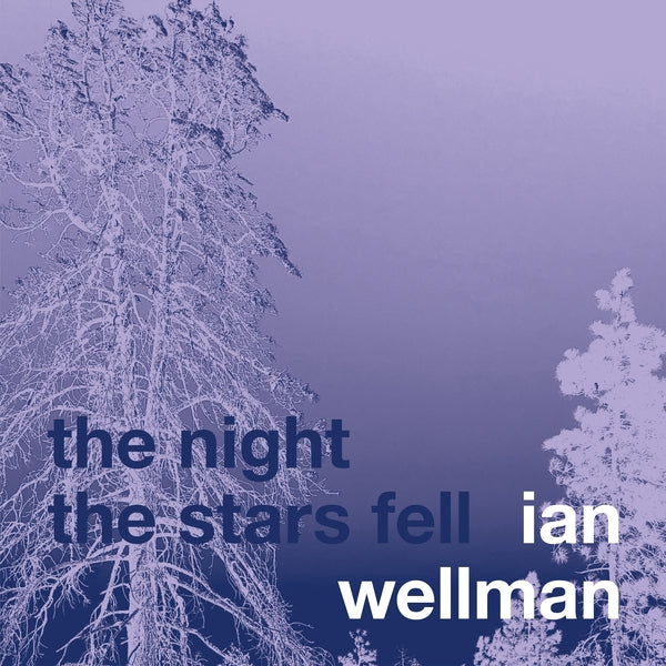 IAN WELLMAN - The Night The Stars Fell | CD