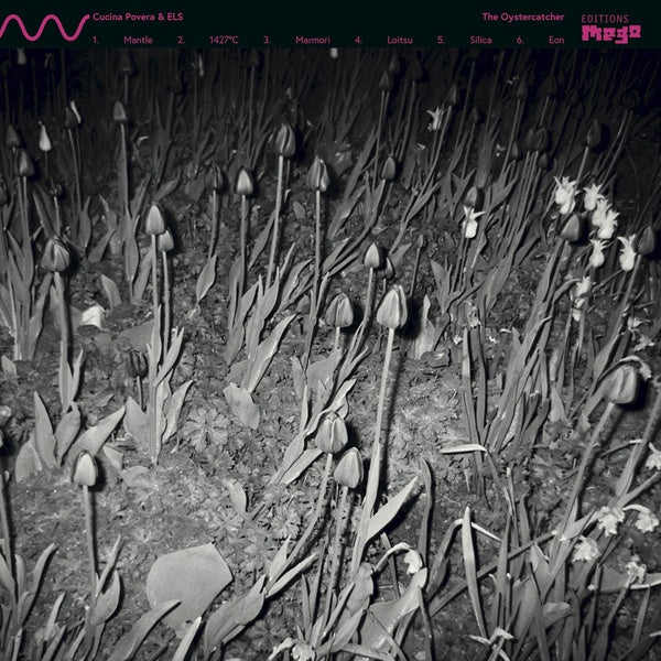 CUCINA POVERA & ELS - The Oystercatcher | Vinyl
