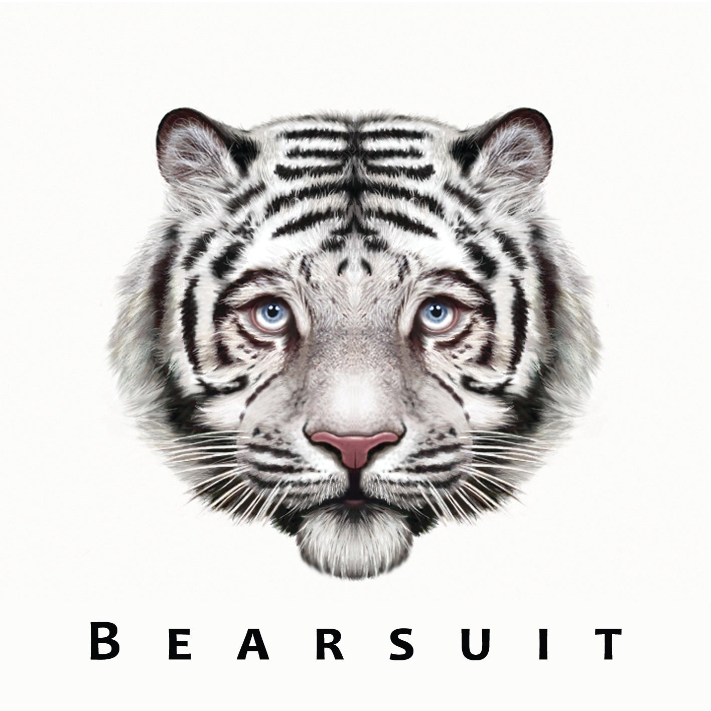 Bearsuit | The Phantom Forest | Vinyl
