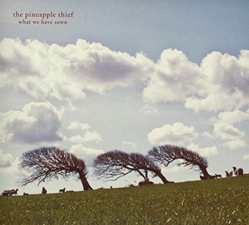 The Pineapple Thief - What We Have Sown | Vinyl