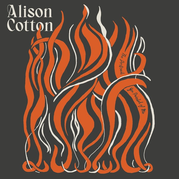 ALISON COTTON - The Portrait You Painted of Me | Vinyl