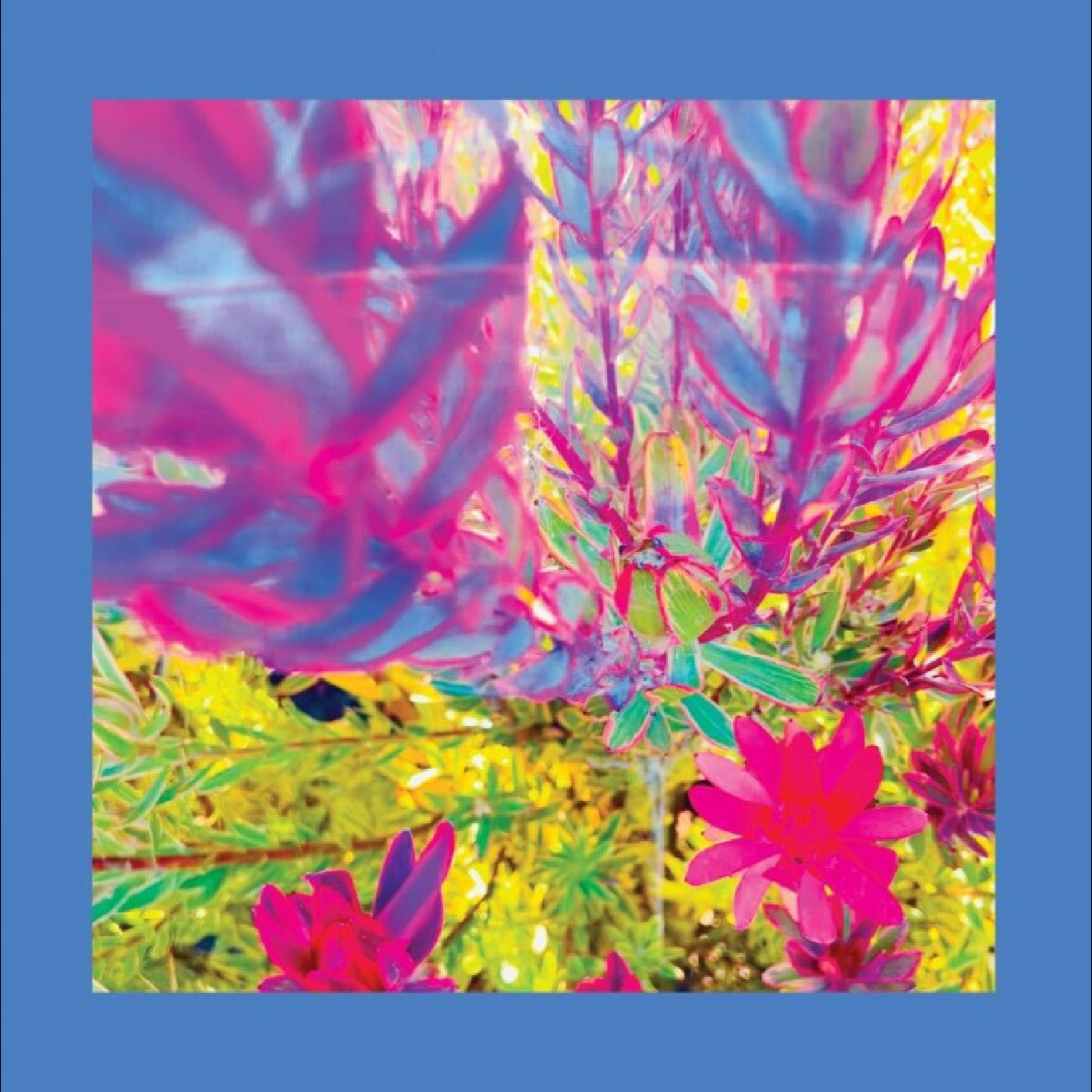 The Reds Pinks & Purples - The Past Is A Garden I Never Fed (Sky Blue Vinyl) | Vinyl
