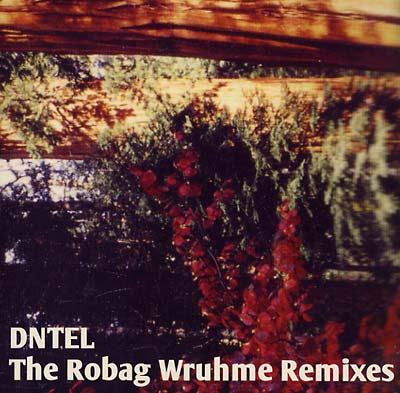DNTEL - The Robag Wruhme Remixes | Vinyl