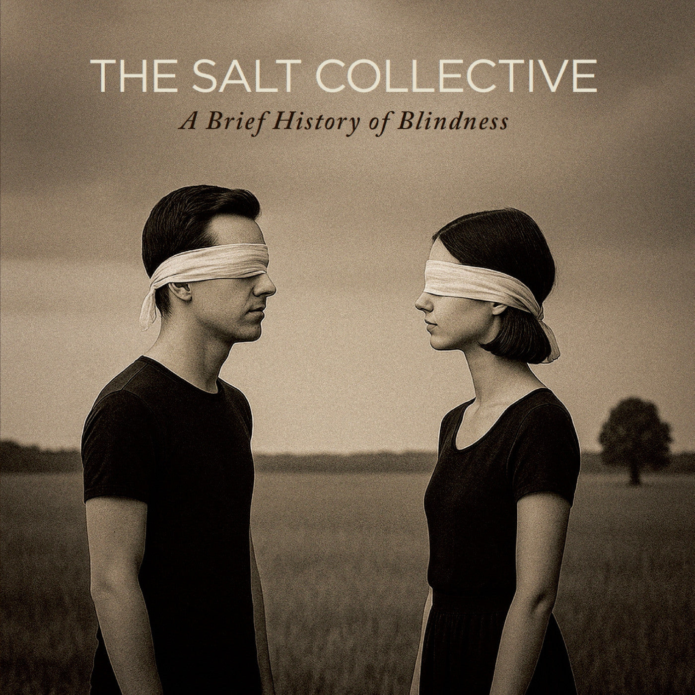 The Salt Collective - A Brief History Of Blindness | CD