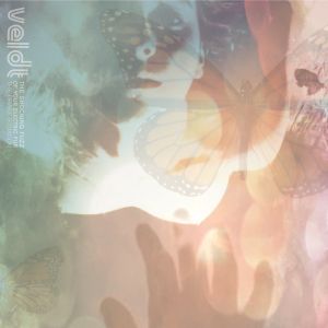 The Veldt - The Shocking Fuzz of Your Electric Fur: The Drake Equation | CD
