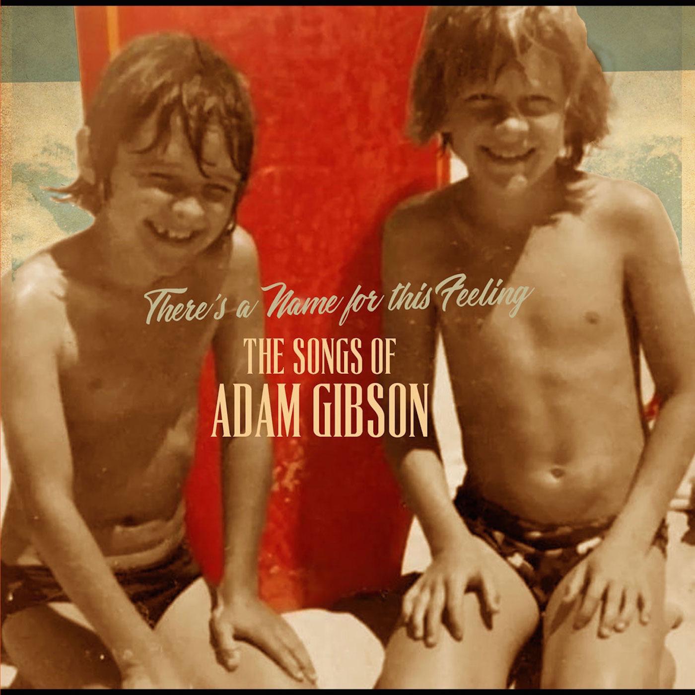 Adam Gibson | The Songs of Adam Gibson | Vinyl