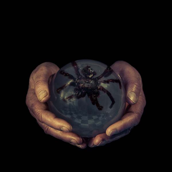 BUCK GOOTER - The Spider's Eyes | Vinyl