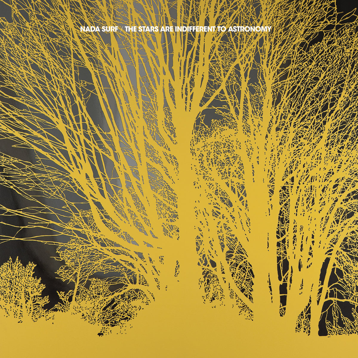 Nada Surf - The Stars Are Indifferent To Astronomy | CD