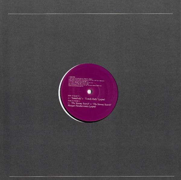 TIMOTHY BLAKE - The Stormy Search | Vinyl