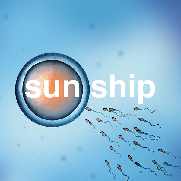 THE BRIAN JONESTOWN MASSACRE - The Sun Ship | Vinyl