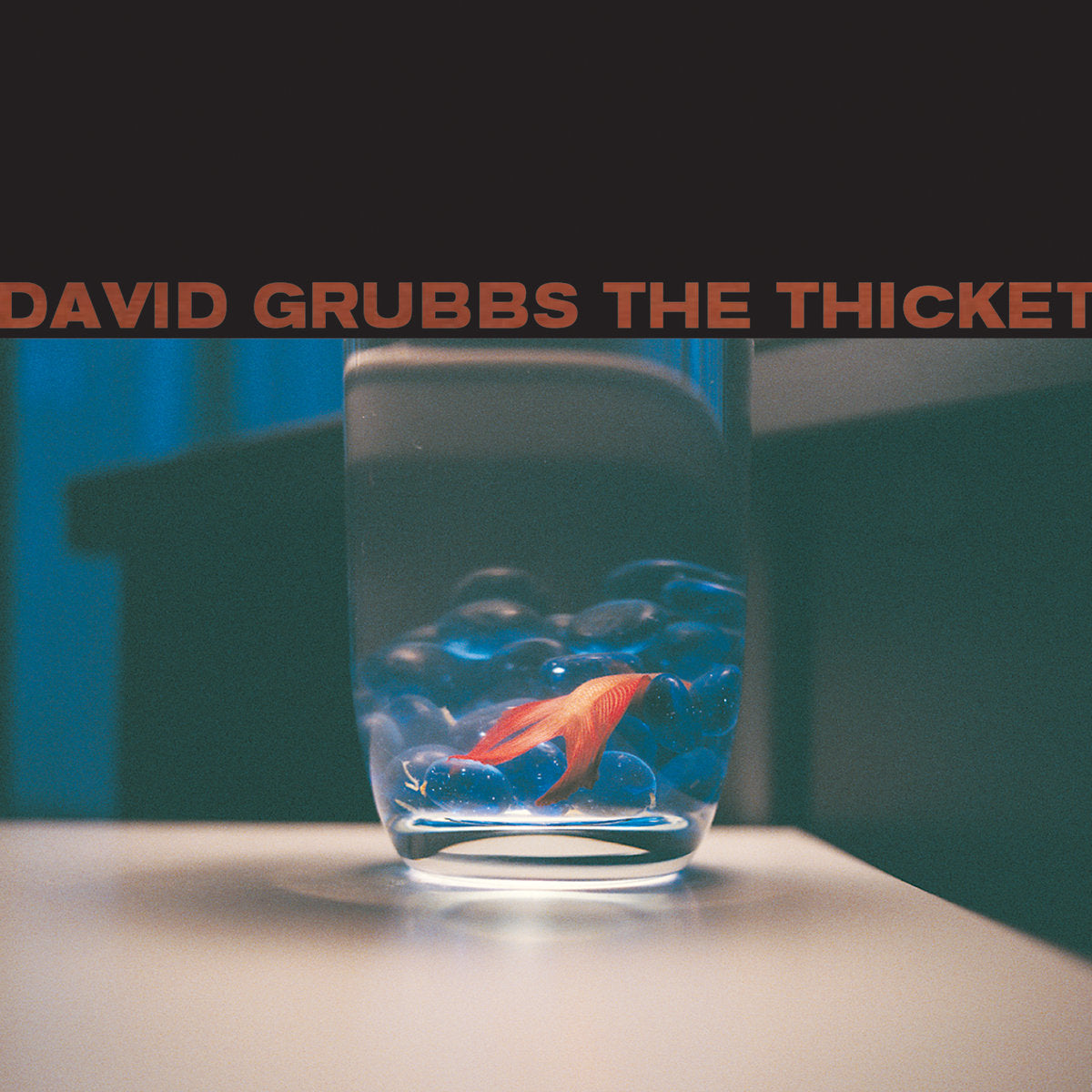 David Grubbs - The Thicket | CD
