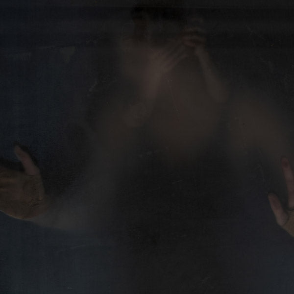 BEN FROST - The Wasp Factory | CD