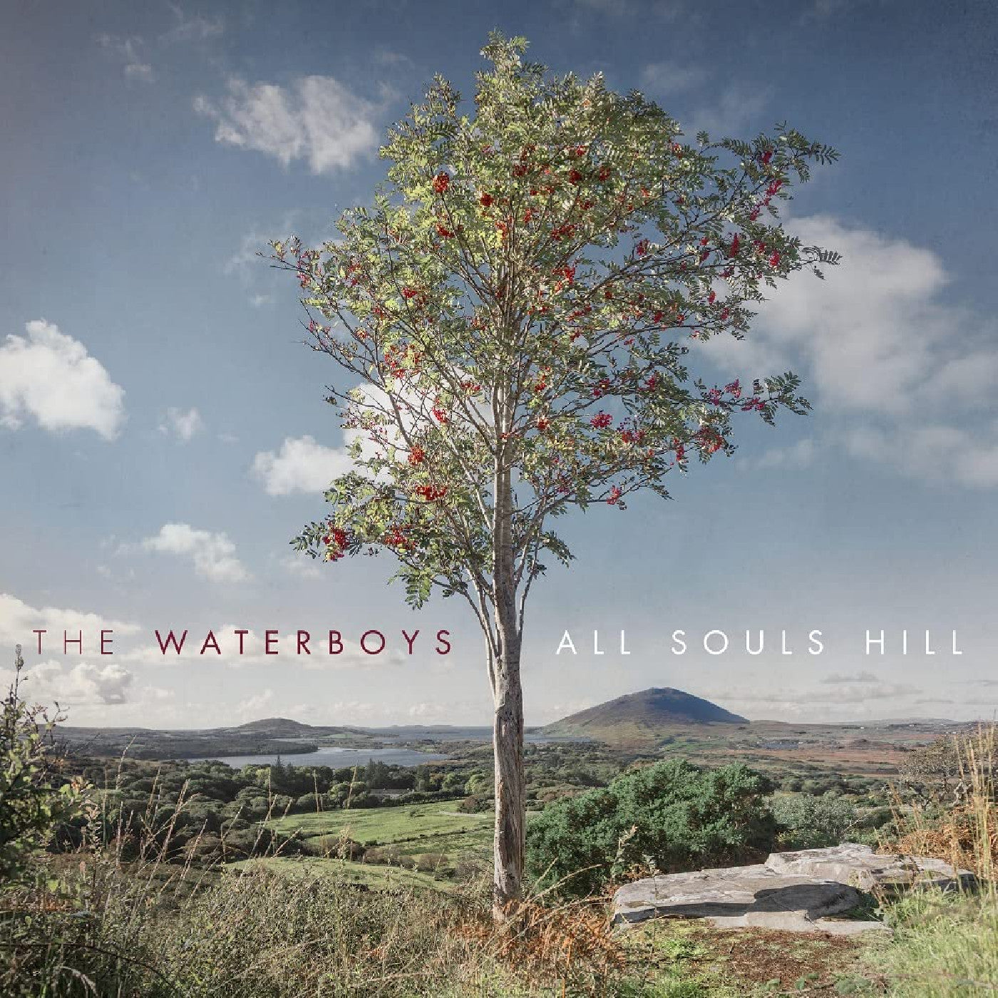 The Waterboys - All Souls Hill | CD