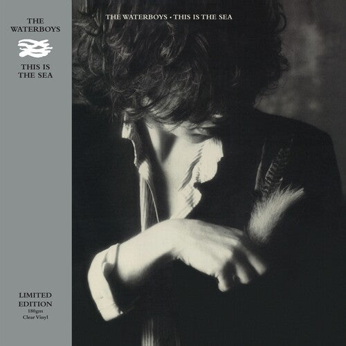 The Waterboys - This Is The Sea (Clear Vinyl, Limited Edition) | Vinyl