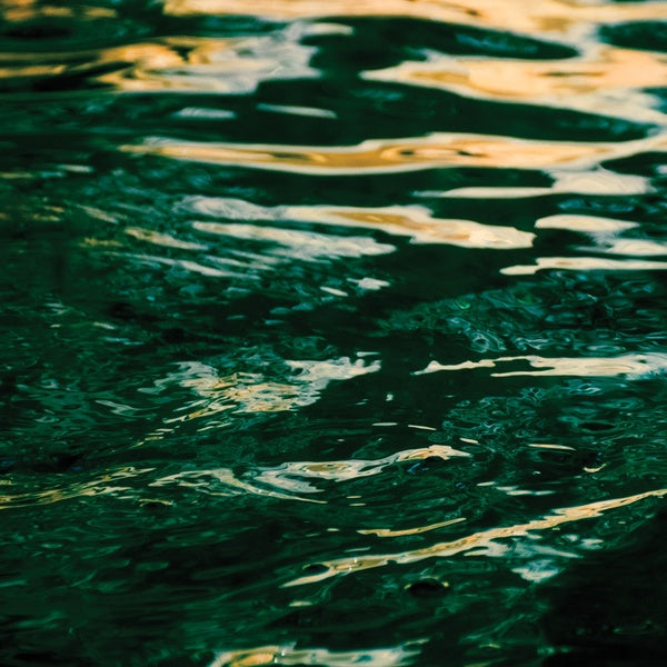 JO JOHNSON - The Wave Ahead | Vinyl