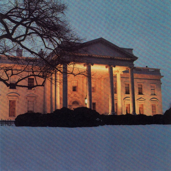 THE DEAD C - The White House | Vinyl
