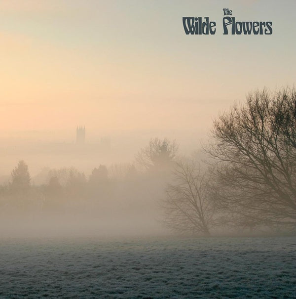 THE WILDE FLOWERS - The Wilde Flowers | Vinyl