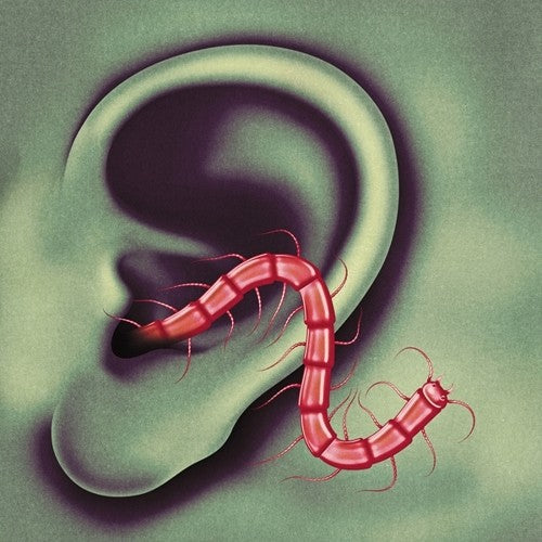Thee Oh Sees - An Odd Entrances (Download Card) | Vinyl
