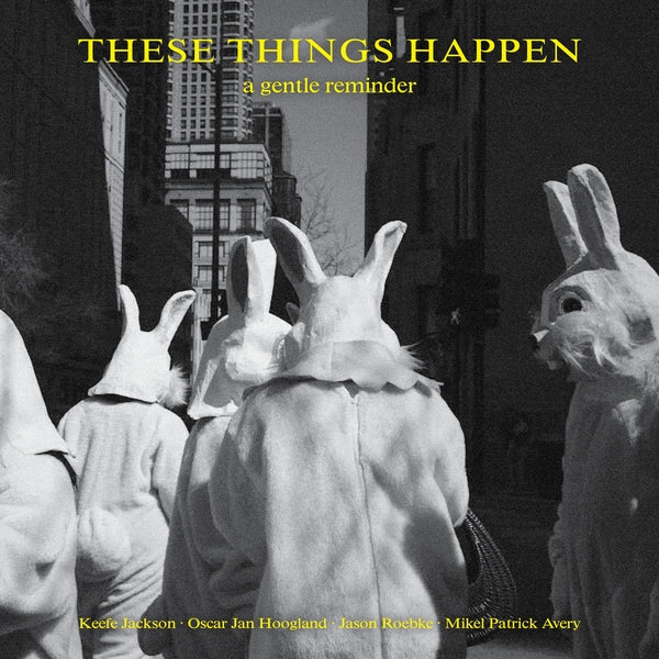These Things Happen - A Gentle Reminder [LP] | Vinyl