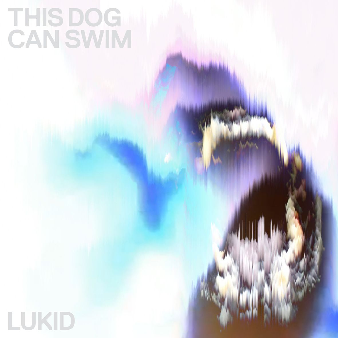 Lukid - This Dog Can Swim 12" | Vinyl