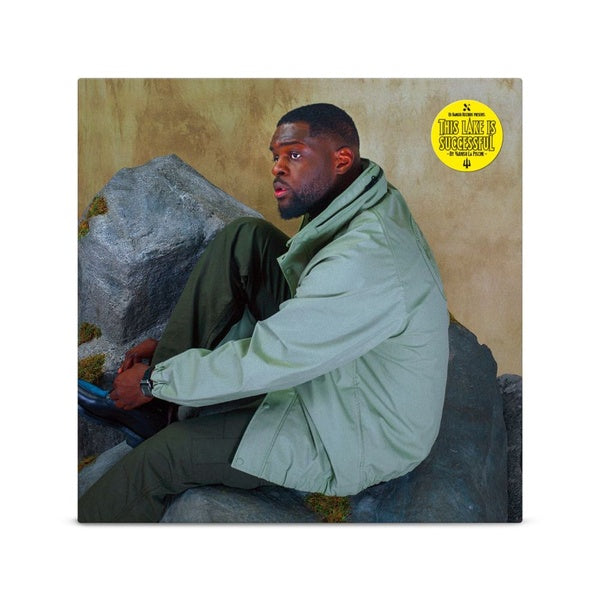 VARNISH LA PISCINE - This Lake Is Successful | Vinyl