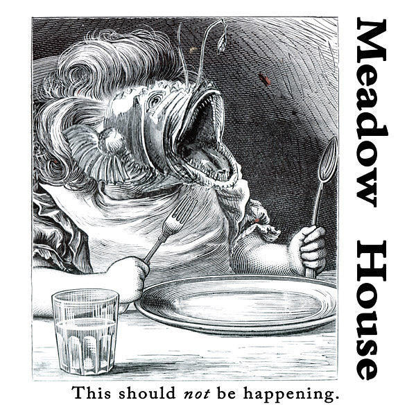 MEADOW HOUSE - This Should Not Be Happening | Vinyl