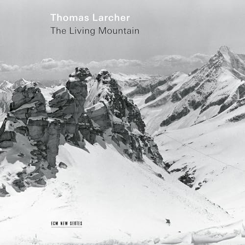 Thomas Larcher/Schuldt/Munich Chamber Orchestra - The Living Mountain | CD