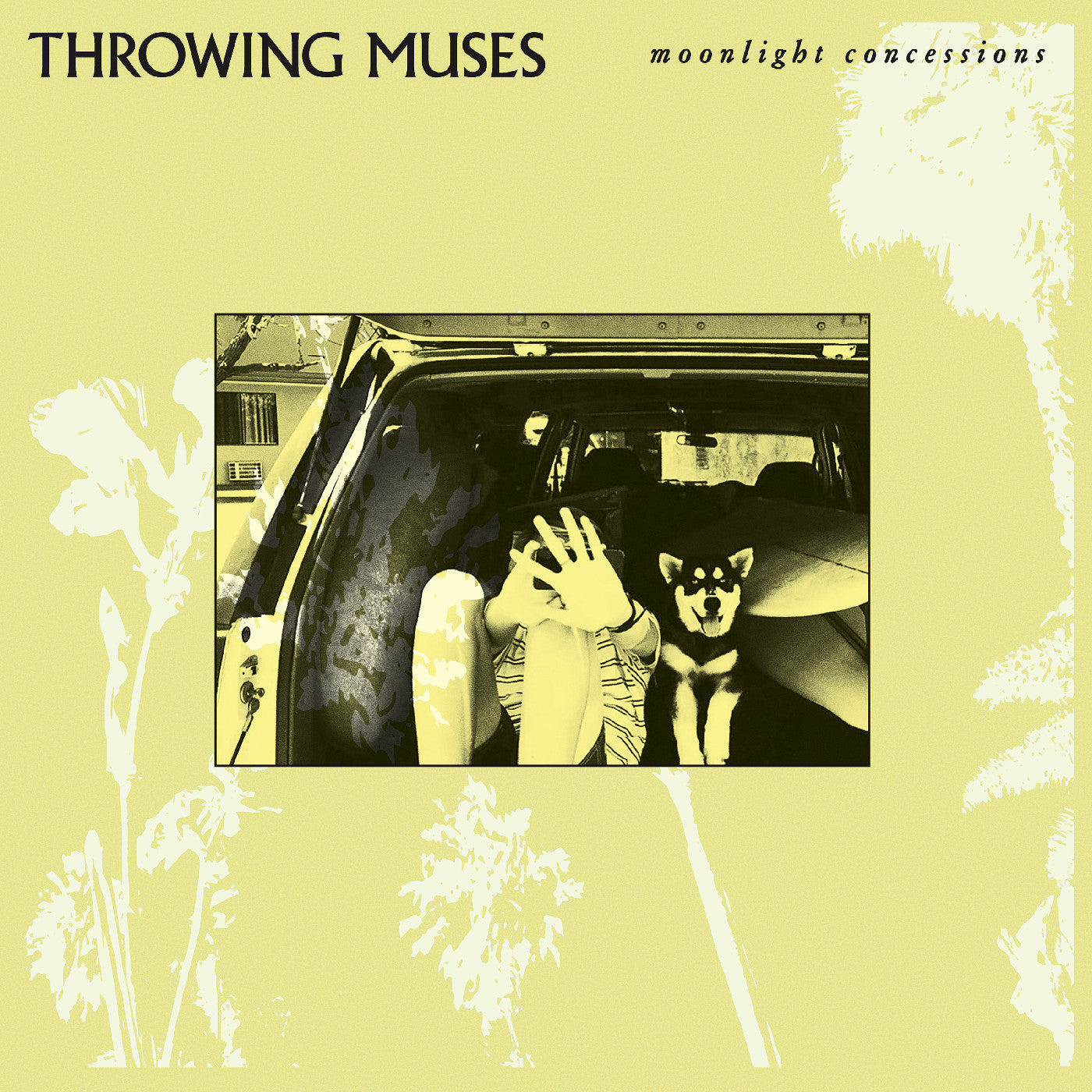 Throwing Muses - Moonlight Concessions | Vinyl