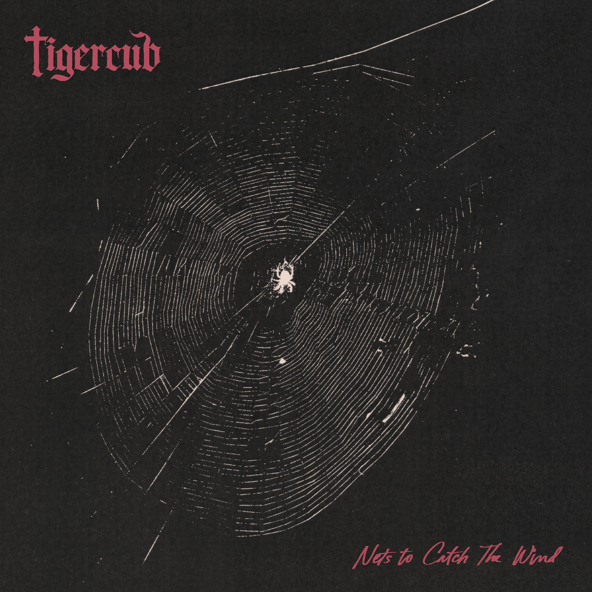 Tigercub | Nets To Catch The Wind (Indie Exclusive) [Graphite Vinyl] | Vinyl