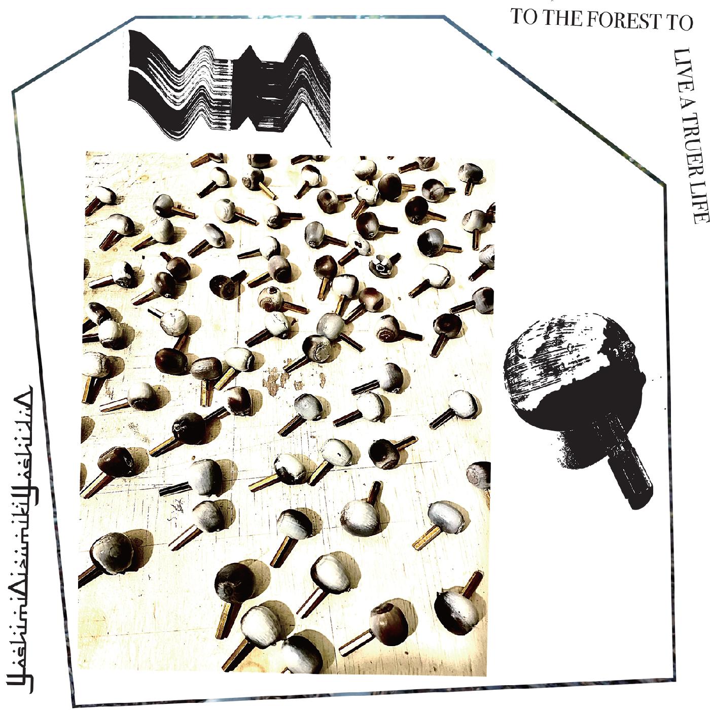 YoshimiOizumikiYoshiduO | To The Forest To Live A Truer Life | Vinyl