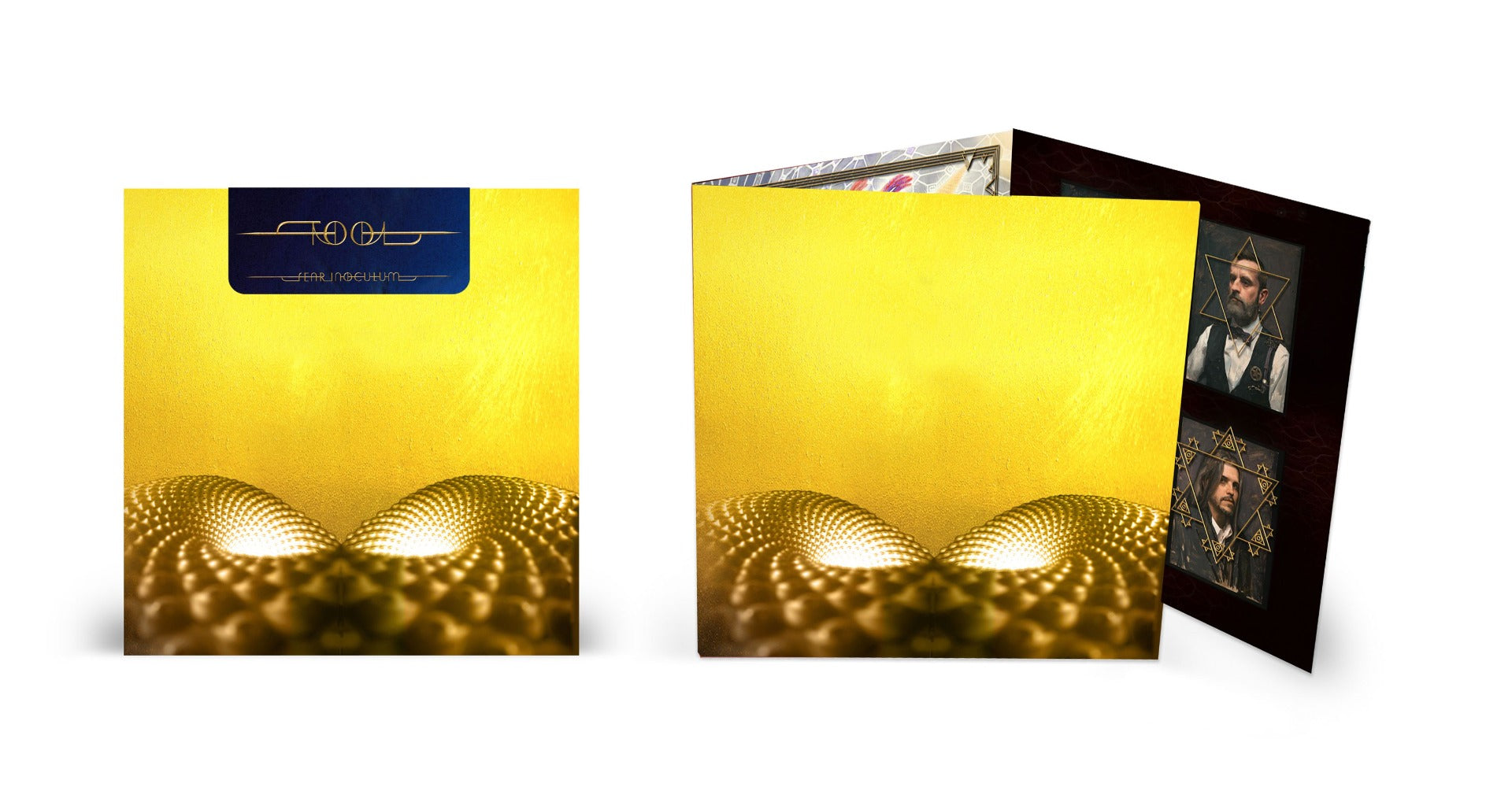 Tool - Fear Inoculum | Vinyl