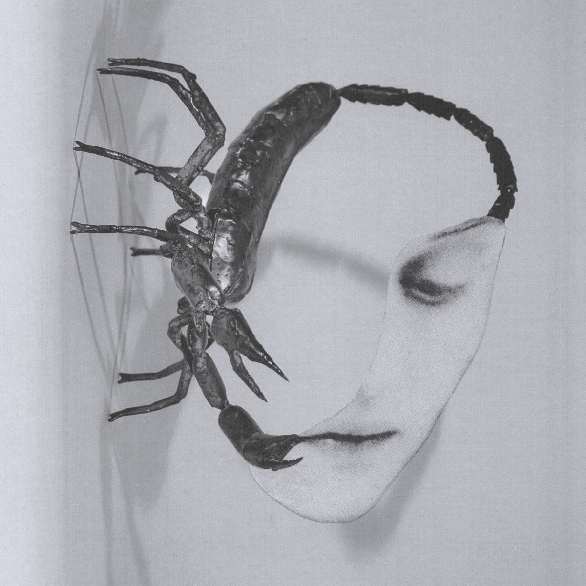 Tortoise - Touch [140 Gram Black Vinyl] | Vinyl