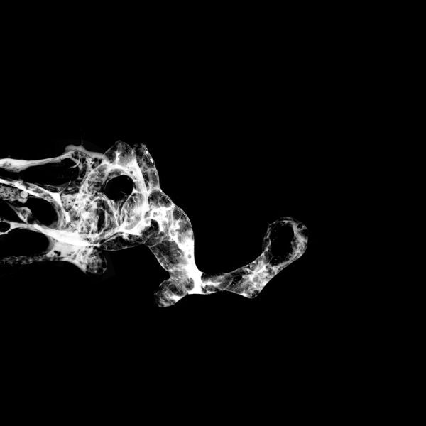 Saffronkeira - Tourette | CD