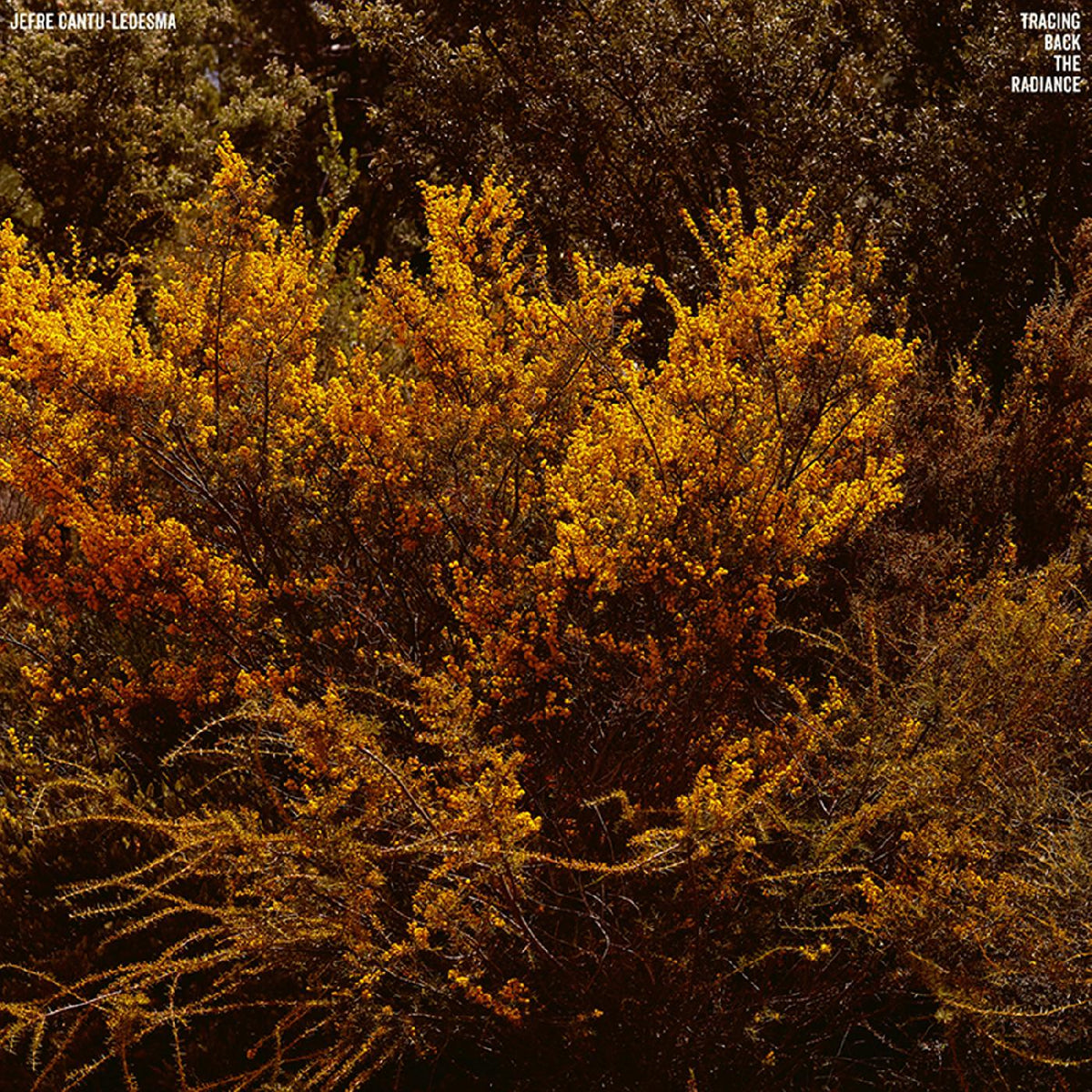 Jefre Cantu-Ledesma - Tracing Back The Radiance | Vinyl