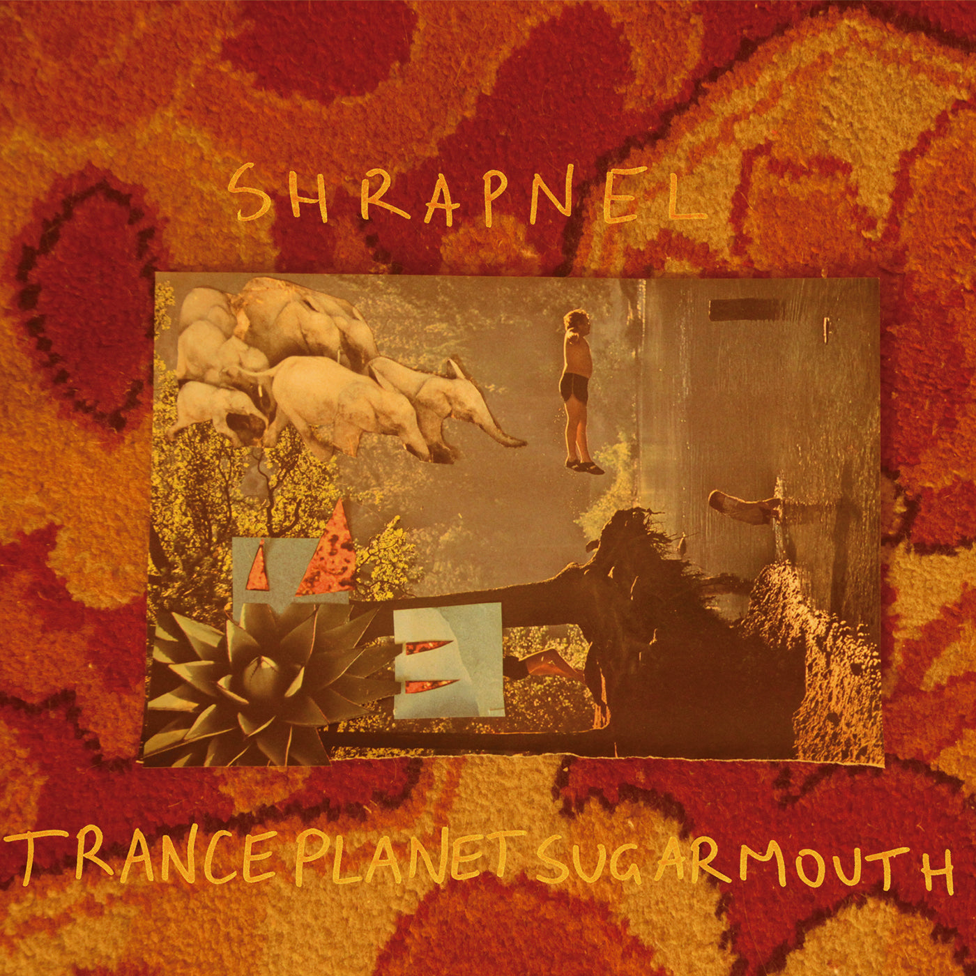 Shrapnel - Tranceplanetsugarmouth | Vinyl