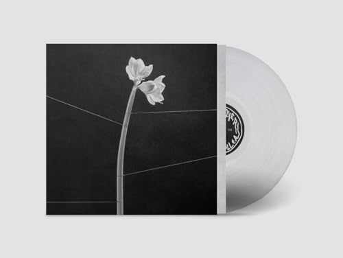 Trentemoller | Dreamweaver | Vinyl