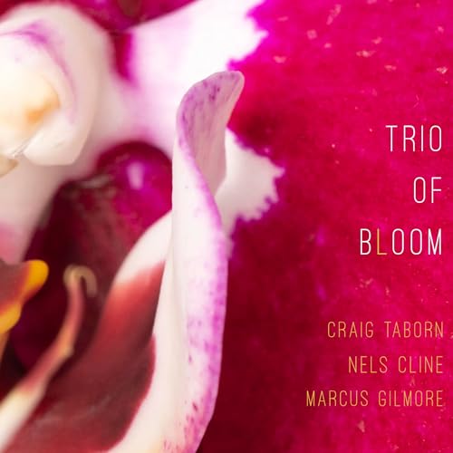 Trio Of Bloom - Trio Of Bloom | CD