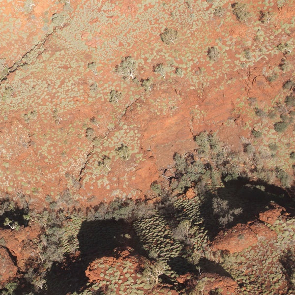 LAWRENCE ENGLISH/WERNER DAFELDECKER - Tropic of Capricorn | Vinyl