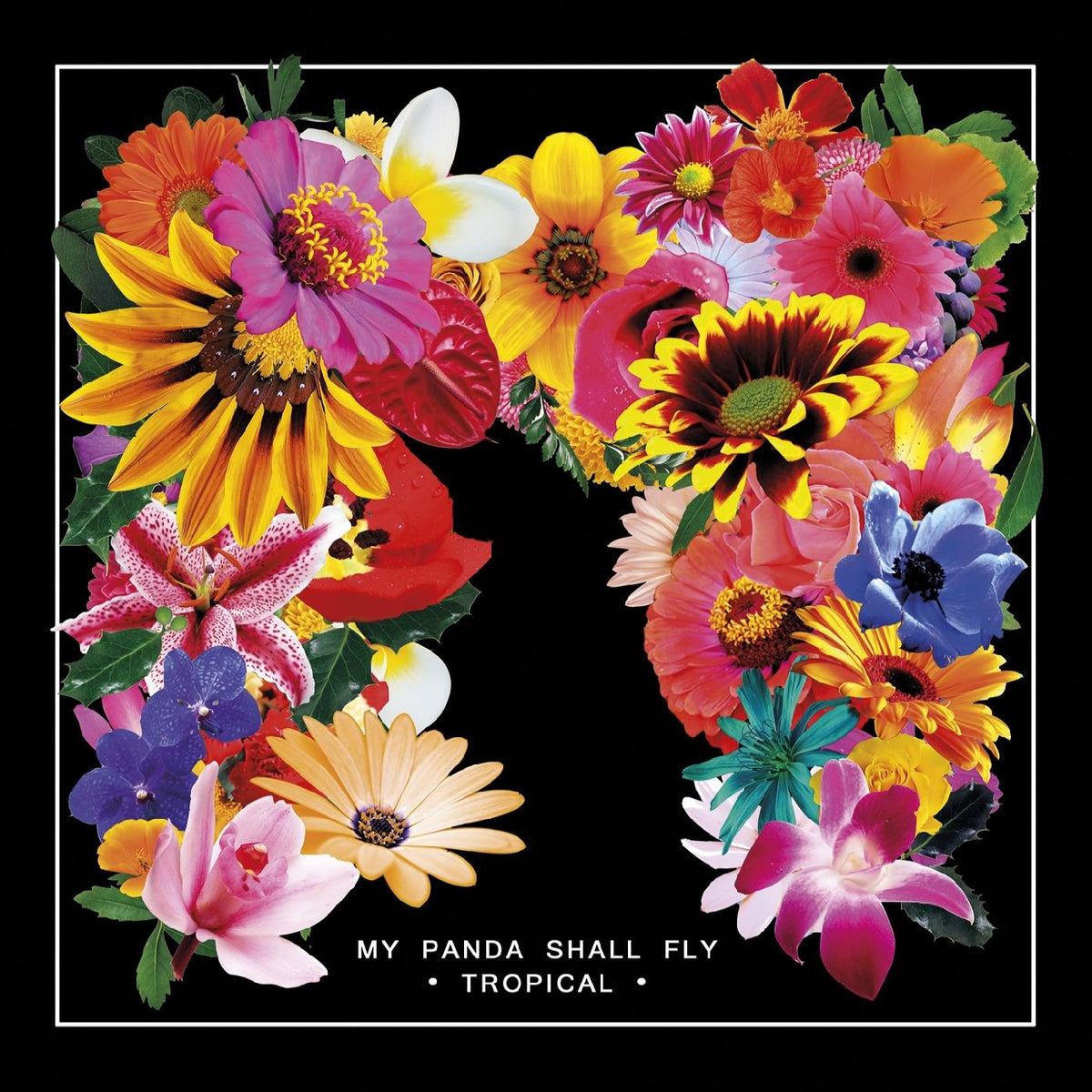 My Panda Shall Fly - Tropical | Vinyl