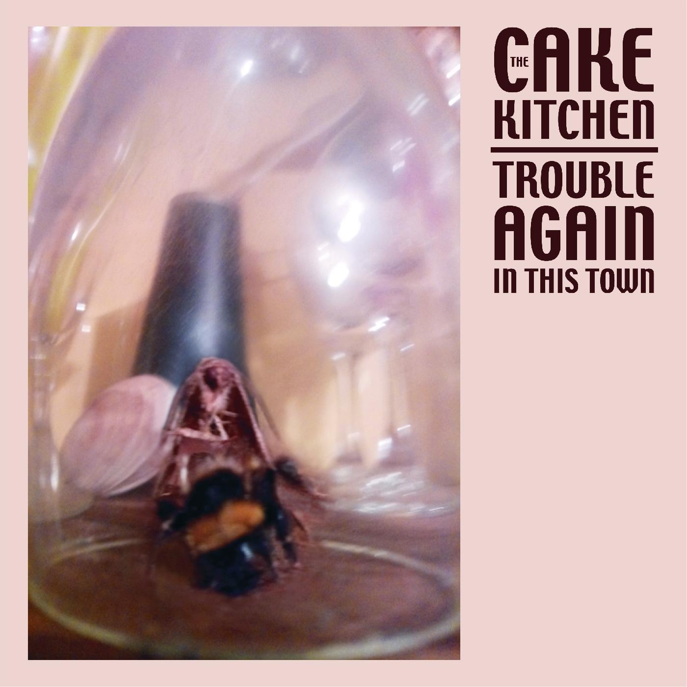 The Cakekitchen | Trouble Again In This Town | Vinyl