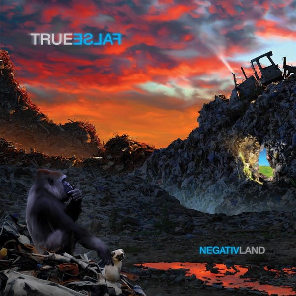 NEGATIVLAND - True False | Vinyl
