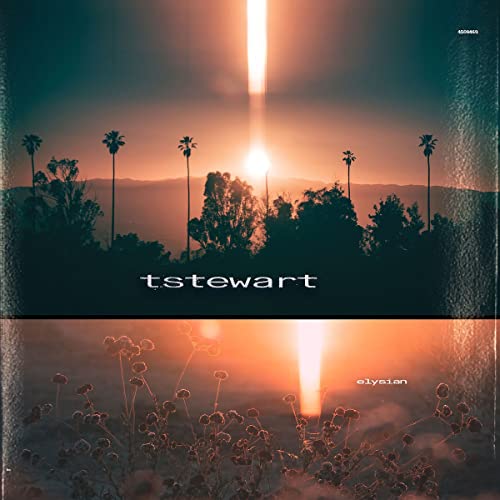 tstewart/Machinedrum - elysian [LP] | Vinyl