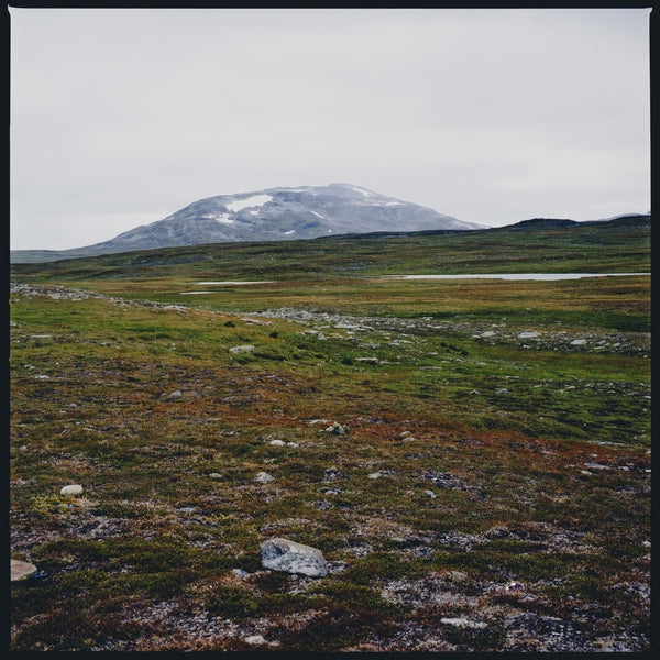 GIDGE - Tundra | Vinyl