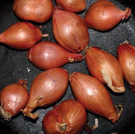 Ty Segall - FRIED SHALLOTS | Vinyl