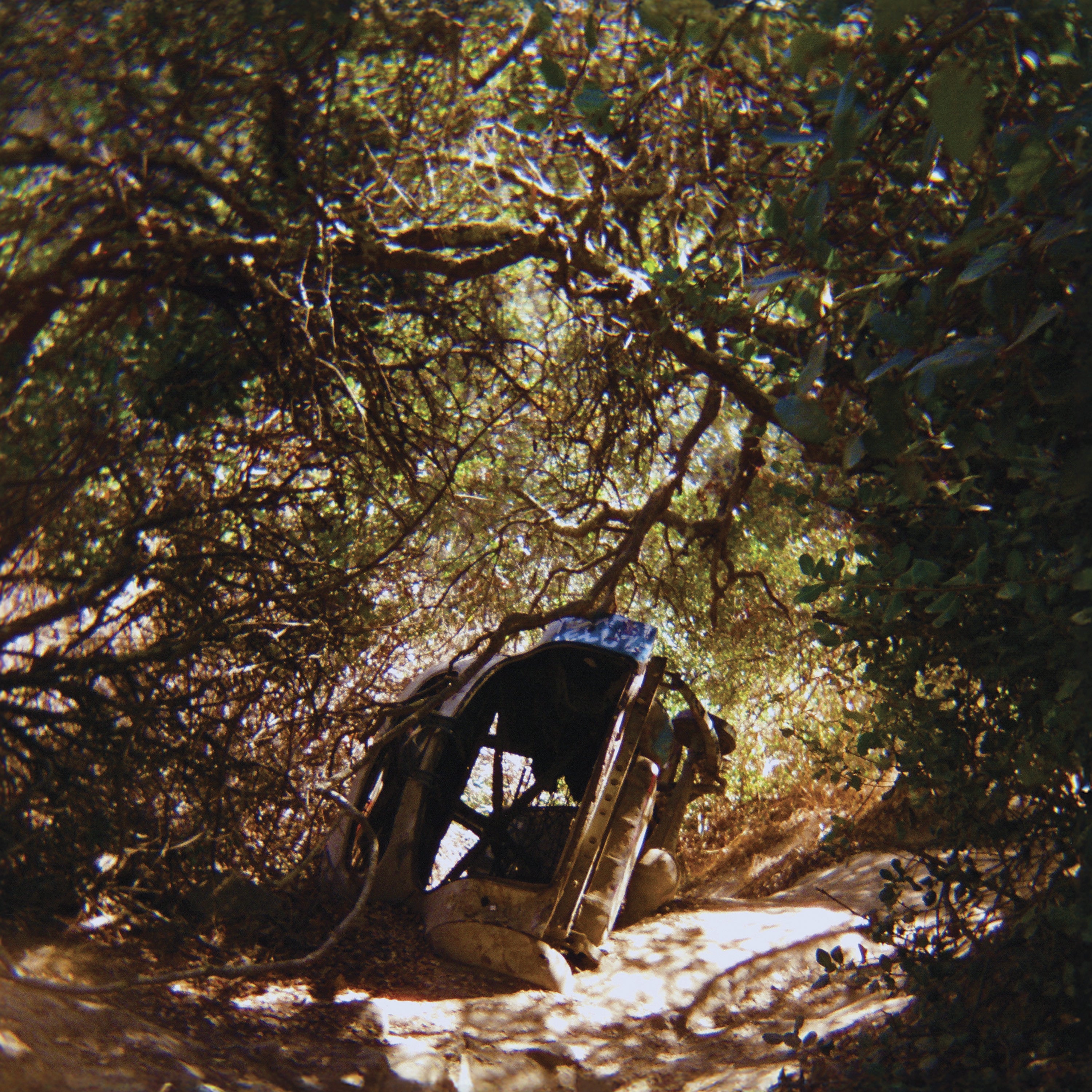 Ty Segall - Possession | CD