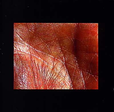 HUBBUB - UB/ABU | CD